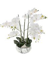 Ορχιδέα λευκή σε κασπώ μάρμαρο Η65cm