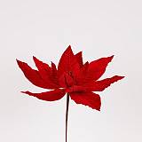 ΑΛΕΞΑΝΔΡΙΝΟ, ΒΕΛΟΥΔΙΝΟ, ΟΛΟ ΚΟΚΚΙΝΟ, 30x24cm