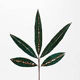 ΚΛΑΔΙ ΜΕ ΣΜΑΡΑΓΔΙ ΦΥΛΛΑ ΚΑΙ ΣΑΜΠΑΝΙ ΛΕΠΤΟΜΕΡΕΙΕΣ, 55cm