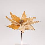 ΛΟΥΛΟΥΔΙ, GRANDE, ΣΑΜΠΑΝΙ, 44x50cm