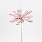 ΛΟΥΛΟΥΔΙ ΦΙΟΓΚΟΣ, ΡΟΖ, 25x45cm