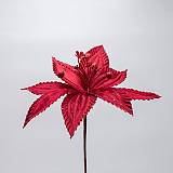 ΛΟΥΛΟΥΔΙ ΜΠΟΡΝΤΟ ΜΕ ΔΙΑΚΡΙΤΙΚΗ ΓΡΑΜΜΗ GLITTER, 30x20cm