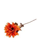 Ντάλια κλαδί πορτοκαλί 55εκ.