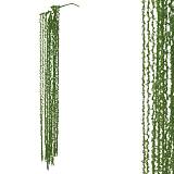 ΚΛΑΔΙ ΒΡΥΑ ΠΡΑΣΙΝΟ  - Y100cm 48 /576ΚΙΒ