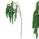 ΚΛΑΔΙ ΒΡΥΑ ΠΡΑΣΙΝΟ  - Y82cm 12 /144ΚΙΒ