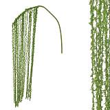 ΚΛΑΔΙ ΒΡΥΑ ΠΡΑΣΙΝΟ  - Y150cm 24 /288ΚΙΒ