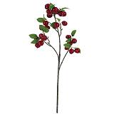 ΚΛΑΔΙ ΞΙΝΟΜΗΛΙΑ ΚΟΚΚΙΝΟ - Y69cm 12 /144ΚΙΒ