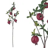 ΚΛΑΔΙ ΔΙΑΚΟΣΜΗΣΗΣ ΡΟΔΙΑΣ ΜΕ ΚΑΡΠΟΥΣ Χ5 - 23x13x88cm 16/192ΚΙΒ