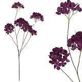 ΔΙΑΚΟΣΜΗΤΙΚΟ ΚΛΑΔΙ ΟΡΤΑΝΣΙΑΣ ΜΩΒ Χ6 - 34x18x114cm 12/144ΚΙΒ