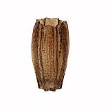 ΒΑΖΟ ΓΥΑΛΙΝΟ