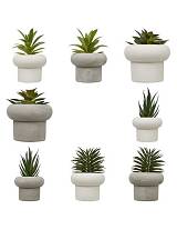 Φυτό σε κεραμικό κασπώ 8σχέδια Η15cm