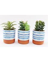 Κασπώ κεραμ.με πρασινάδα 17εκ. 3σχ.