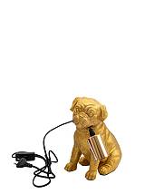 ΠΟΛΥΕΣΤΕΡΙΚΗ ΧΡΥΣΗ ΛΑΜΠΑ  ΣΚΥΛΟΣ  13Χ19,5Χ22,5ΕΚ