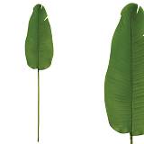 ΔΙΑΚΟΣΜΗΤΙΚΟ ΚΛΑΔΙ ΦΥΛΛΟ ΣΤΡΕΛΙΤΣΙΑ REAL TOUCH ΠΡΑΣΙΝΟ - 20x100cm 48/288ΚΙΒ