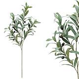 ΔΙΑΚΟΣΜΗΤΙΚΟ ΚΛΑΔΙ ΕΛΙΑΣ ΠΡΑΣΙΝΟ - 30x35x95cm 24/240ΚΙΒ