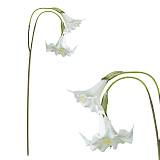 ΔΙΑΚΟΣΜΗΤΙΚΟ ΚΛΑΔΙ ΛΙΛΙΟΥΜ ΜΕ 2 ΑΝΘΗ REAL TOUCH ΛΕΥΚΟ - 20x14x98cm 12/72ΚΙΒ