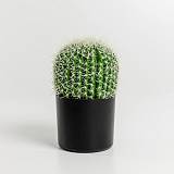 FEROCACTUS ΦΥΤΟ ΤΕΧΝΗΤΟ ΣΕ ΓΛΑΣΤΡΑ 18x18x30cm ΥΦΑΣΜΑ ΠΡΑΣΙΝΟ ΛΕΥΚΟ ΠΛΑΣΤΙΚΟ