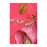 SOMNIA ΠΙΝΑΚΑΣ ΔΙΑΚΟΣΜΗΣΗΣ 60x90x4cm ΚΑΜΒΑΣ ΠΟΛΥΧΡΩΜΟ ΞΥΛΟ