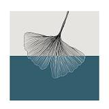 FALL ΠΙΝΑΚΑΣ ΔΙΑΚΟΣΜΗΣΗΣ 40x40x2cm ΚΑΜΒΑΣ ΠΕΤΡΟΛ ΛΕΥΚΟ ΞΥΛΟ ΜΑΥΡΟ