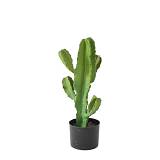 CANDELABRA CACTUS ΦΥΤΟ ΤΕΧΝΗΤΟ ΣΕ ΓΛΑΣΤΡΑ 55cm PU ΠΡΑΣΙΝΟ