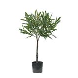 OLIA ΦΥΤΟ ΤΕΧΝΗΤΟ ΣΕ ΓΛΑΣΤΡΑ 75cm PVC ΠΡΑΣΙΝΟ PU