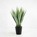 AGAVE ΦΥΤΟ ΤΕΧΝΗΤΟ ΣΕ ΓΛΑΣΤΡΑ 58cm PVC ΠΡΑΣΙΝΟ ΜΑΥΡΟ ΤΣΙΜΕΝΤΟ