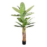 BANANA ΔΕΝΤΡΟ ΤΕΧΝΗΤΟ ΣΕ ΓΛΑΣΤΡΑ 240cm PVC ΠΡΑΣΙΝΟ ΜΑΥΡΟ ΤΣΙΜΕΝΤΟ