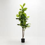 FICUS PANDURATA ΔΕΝΤΡΟ ΤΕΧΝΗΤΟ ΣΕ ΓΛΑΣΤΡΑ 180cm ΥΦΑΣΜΑ ΠΡΑΣΙΝΟ PVC
