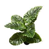 TARO ΦΥΤΟ ΤΕΧΝΗΤΟ ΣΕ ΓΛΑΣΤΡΑ 35cm PEVA ΠΡΑΣΙΝΟ