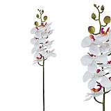 ΚΛΑΔΙ ΦΑΝΕΛΟΨ ΣΑΜΠΑΝΙ Υ76cm.12/144KIB