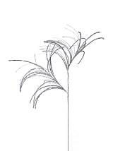 ΧΡΙΣΤΟΥΓΕΝΝΙΑΤΙΚΑ ΚΛΑΔΙΑ ΑΣΗΜΙ 89ΕΚ