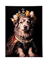 ΠΙΝΑΚΑΣ ΣΚΥΛΟΣ 50Χ70Χ4ΕΚ