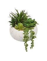 Παχύφυτα σε λευκό κεραμ.κασπώ 21 x 18 x 21 cm