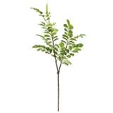 ΚΛΑΔΙ ΜΠΡΕΪΝΙΑ ΠΡΑΣΙΝΟ 2ΧΡΩΜΟ REAL TOUCH - 30x20x74cm 24/240ΚΙΒ