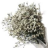 ΑΠΟΞΗΡΑΜΕΝΟ ΕΚΡΟΥ ΜΠΟΥΚΕΤΟ ΛΕΙΜΩΝΙΟ 120gr - Υ80-90cm 30/ΚΙΒ