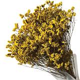 ΑΠΟΞΗΡΑΜΕΝΟ ΚΙΤΡΙΝΟ ΜΠΟΥΚΕΤΟ ΛΕΙΜΩΝΙΟ 120gr - Υ80-90cm 30/ΚΙΒ