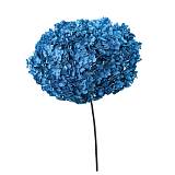 ΑΠΟΞΗΡΑΜΕΝA ΚΛΑΔΙΑ ΜΠΛΕ ΟΡΤΑΝΣΙΑ ΜΑΤΣΟ ~1-2τμχ - Υ55cm 20/ΚΙΒ