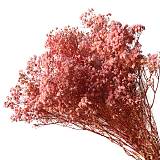 ΑΠΟΞΗΡΑΜΕΝA ΚΛΑΔΙΑ ΣΟΜΟΝ ΓΥΨΟΦΥΛΗ ΜΑΤΣΟ 100gr - Υ70-80cm 30/ΚΙΒ