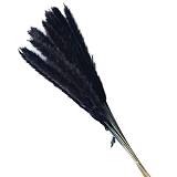 ΑΠΟΞΗΡΑΜΕΝΑ ΚΛΑΔΙΑ ΓΚΡΙ ΜΙΝΙ ΠΑΜΠΑΣ ΜΑΤΣΟ ~15τμχ - Y75-80cm 130/ΚΙΒ