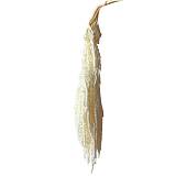 ΔΙΑΤΗΡΗΜΕΝΟ ΕΚΡΟΥ ΚΡΕΜΑΣΤΟ ΚΛΑΔΙ ΑΜΑΡΑΝΘΟΣ ΜΑΤΣΟ ~5τμχ - Υ120cm 40/ΚΙΒ