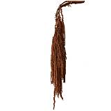 ΔΙΑΤΗΡΗΜΕΝΟ ΚΑΦΕ ΚΡΕΜΑΣΤΟ ΚΛΑΔΙ ΑΜΑΡΑΝΘΟΣ ΜΑΤΣΟ ~5τμχ - Υ120cm 40/ΚΙΒ