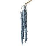 ΔΙΑΤΗΡΗΜΕΝΟ ΜΠΛΕ/ΓΚΡΙ ΚΡΕΜΑΣΤΟ ΚΛΑΔΙ ΑΜΑΡΑΝΘΟΣ ΜΑΤΣΟ ~5τμχ - Υ120cm