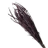 ΑΠΟΞΗΡΑΜΕΝΑ ΜΩΒ ΚΛΑΔΙΑ ΛΕΒΑΝΤΑ ΜΑΤΣΟ 100gr - Y60cm 40/ΚΙΒ