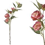 ΚΛΑΔΙ ΚΑΜΕΛΙΑΣ ΡΟΖ Χ5 ΑΝΘΗ - 69cm 12/120ΚΙΒ