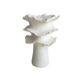 ΒΑΖΟ ΚΕΡΑΜΙΚΟ