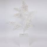 ΚΛΑΔΙ ΦΤΕΡΗ, ΛΕΥΚΟ ΠΕΡΛΕ, 107cm