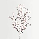 ΚΛΑΔΙ, ΜΕ ΡΟΖ ΠΕΡΛΕΣ, 72cm