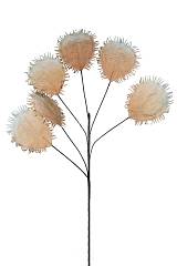 ΛΟΥΛΟΥΔΙ ΠΛΑΚΕ ΜΕ ΜΥΤΕΣ ΜΠΕΖ 126ΕΛ