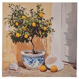 PLANT ΠΙΝΑΚΑΣ ΣΕ ΤΥΠΩΜΕΝΟ ΚΑΜΒΑ 60Χ60ΕΚ