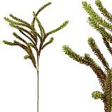 FOAM ΠΡΑΣΙΝΟ/ΚΟΚΚΙΝΟ  ΓΕΜΙΣΜΑΤΟΣ Υ101/55cm 12/120